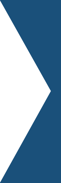 DCBL chevron small