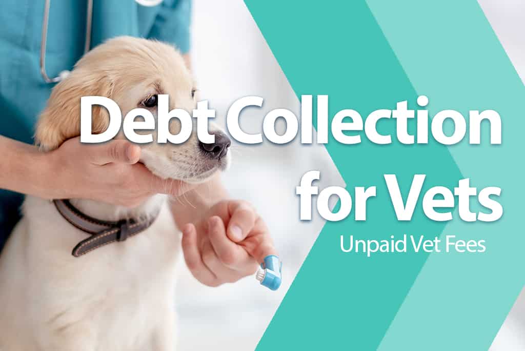 Debt Collection for Vets